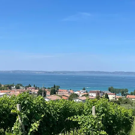 Apartment La Casa In Collina