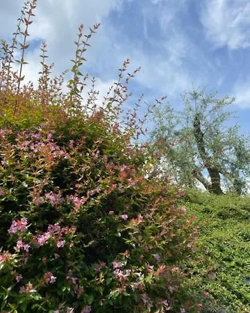 La Casa In Collina דירה *